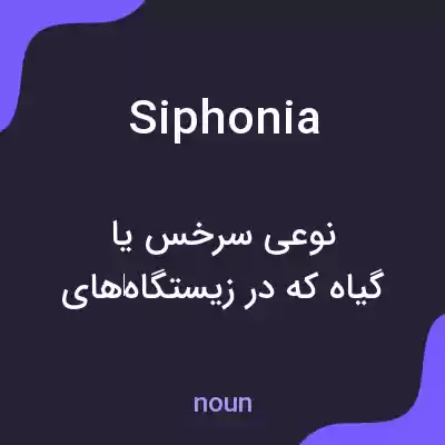 معنی siphonia به فارسی معنی siphonia به فارسی