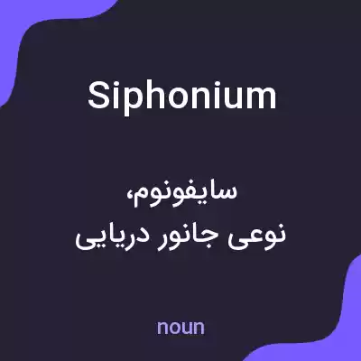 معنی siphonium به فارسی معنی siphonium به فارسی