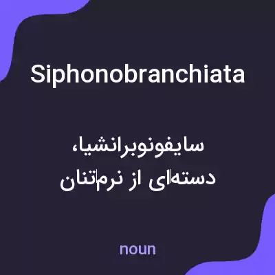معنی siphonobranchiata به فارسی معنی siphonobranchiata به فارسی