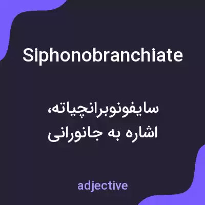 معنی siphonobranchiate به فارسی معنی siphonobranchiate به فارسی