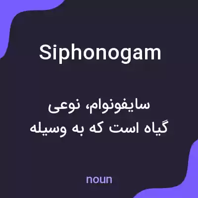 معنی siphonogam به فارسی معنی siphonogam به فارسی