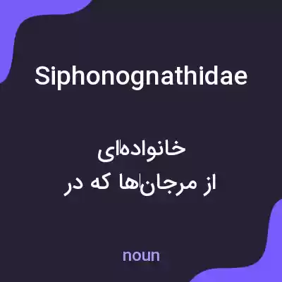 معنی siphonognathidae به فارسی معنی siphonognathidae به فارسی