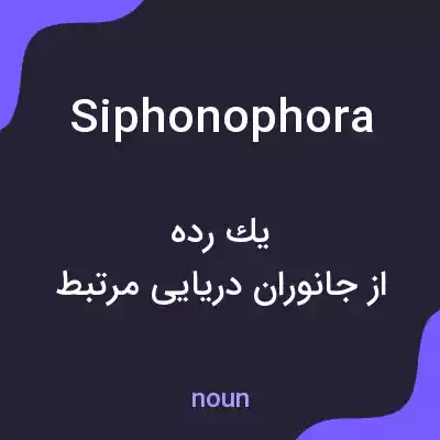 معنی siphonophora به فارسی