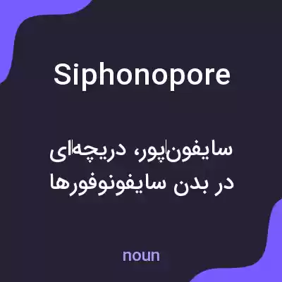 معنی siphonopore به فارسی معنی siphonopore به فارسی