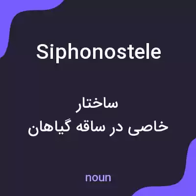 معنی siphonostele به فارسی