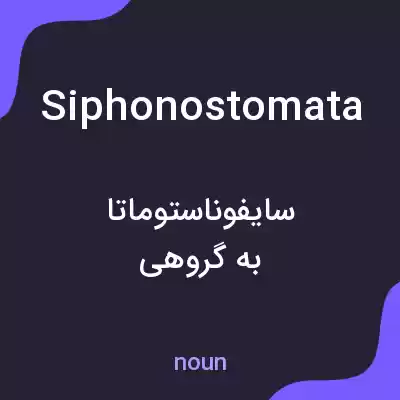 معنی siphonostomata به فارسی معنی siphonostomata به فارسی