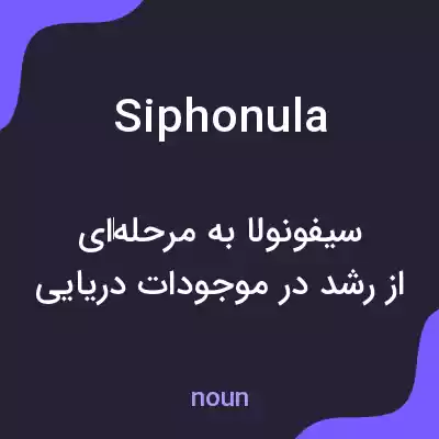 معنی siphonula به فارسی معنی siphonula به فارسی