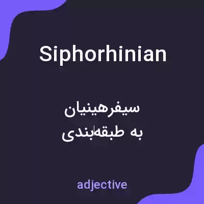 معنی siphorhinian به فارسی معنی siphorhinian به فارسی