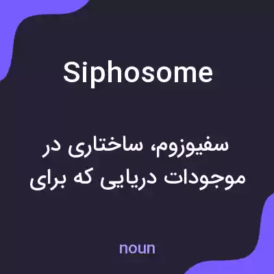 معنی siphosome به فارسی معنی siphosome به فارسی
