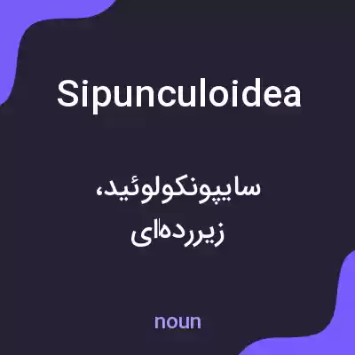 معنی sipunculoidea به فارسی معنی sipunculoidea به فارسی