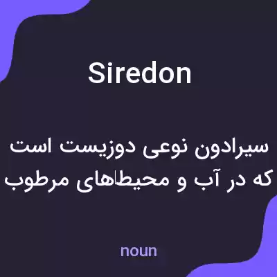 معنی siredon به فارسی معنی siredon به فارسی