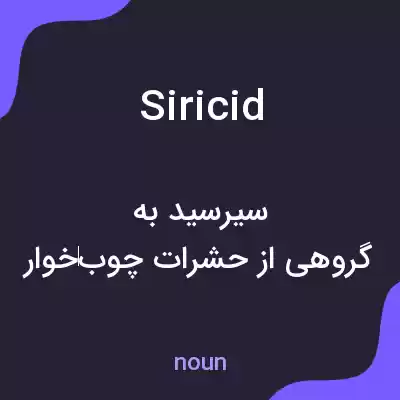 معنی siricid به فارسی معنی siricid به فارسی