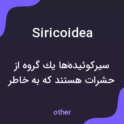 معنی siricoidea به فارسی معنی siricoidea به فارسی