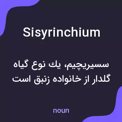 معنی sisyrinchium به فارسی معنی sisyrinchium به فارسی