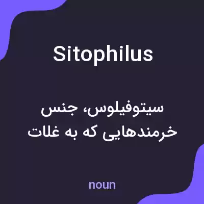 معنی sitophilus به فارسی معنی sitophilus به فارسی