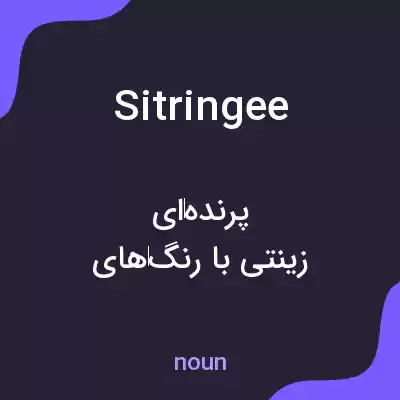 معنی sitringee به فارسی معنی sitringee به فارسی