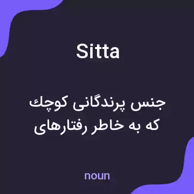 معنی sitta به فارسی