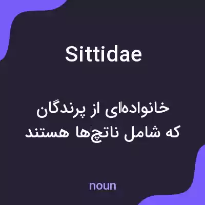 معنی sittidae به فارسی معنی sittidae به فارسی