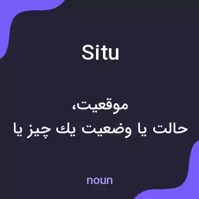 معنی situ به فارسی معنی situ به فارسی