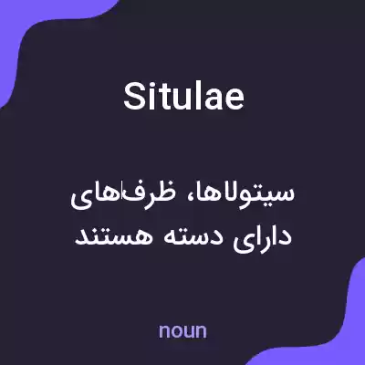 معنی situlae به فارسی معنی situlae به فارسی