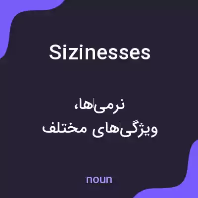 معنی sizinesses به فارسی
