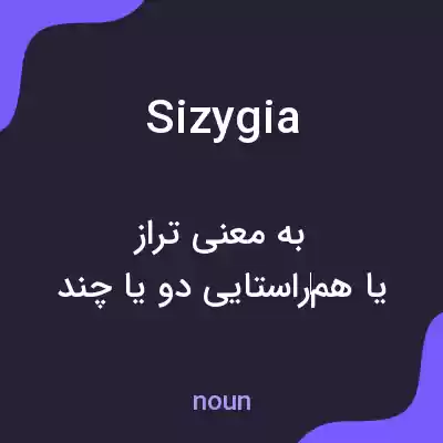 معنی sizygia به فارسی