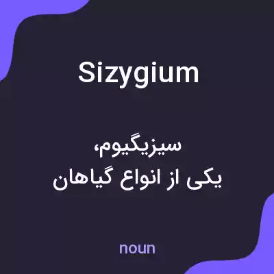 معنی sizygium به فارسی معنی sizygium به فارسی