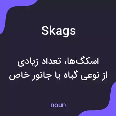 معنی skags به فارسی معنی skags به فارسی