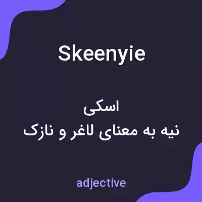 معنی skeenyie به فارسی معنی skeenyie به فارسی