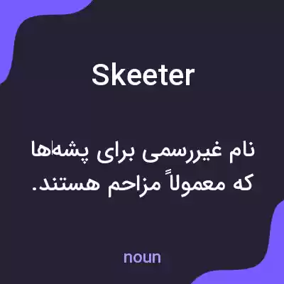 معنی skeeter به فارسی