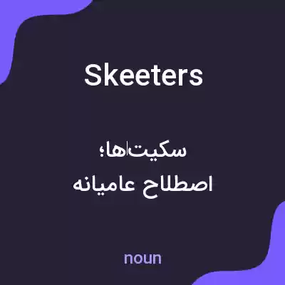 معنی skeeters به فارسی معنی skeeters به فارسی