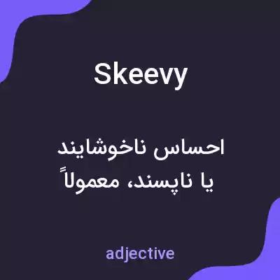 معنی skeevy به فارسی