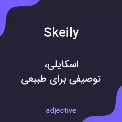 معنی skeily به فارسی معنی skeily به فارسی