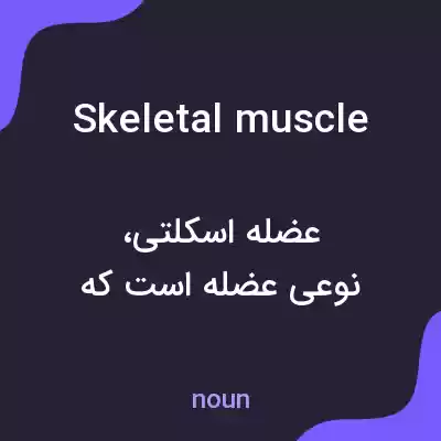 معنی skeletal muscle به فارسی معنی skeletal muscle به فارسی