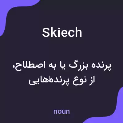معنی skiech به فارسی معنی skiech به فارسی