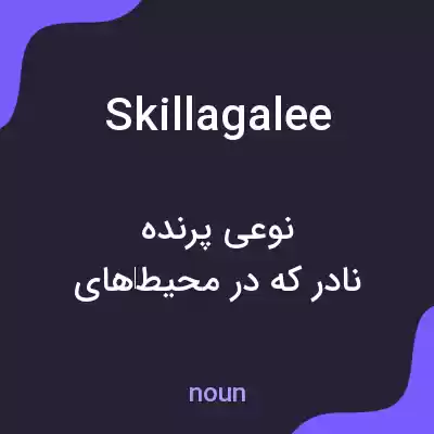 معنی skillagalee به فارسی معنی skillagalee به فارسی
