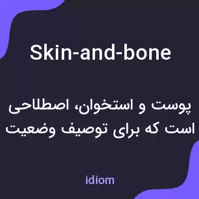 معنی skin-and-bone به فارسی