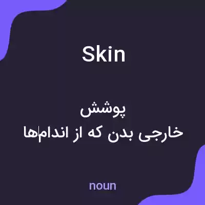 معنی skin به فارسی معنی skin به فارسی