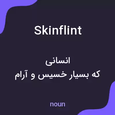 معنی skinflint به فارسی معنی skinflint به فارسی