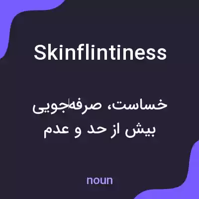 معنی skinflintiness به فارسی معنی skinflintiness به فارسی