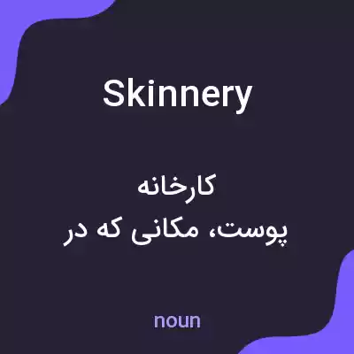 معنی skinnery به فارسی معنی skinnery به فارسی