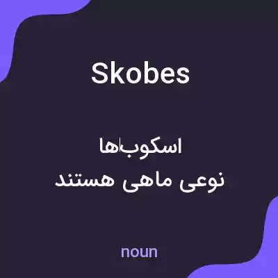 معنی skobes به فارسی