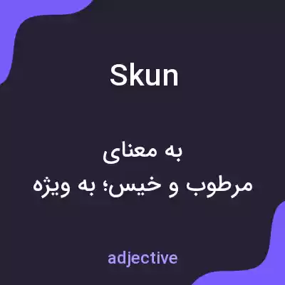 معنی skun به فارسی معنی skun به فارسی