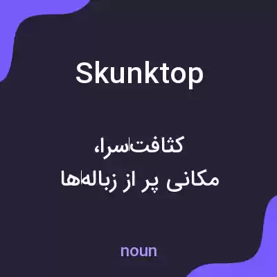 معنی skunktop به فارسی معنی skunktop به فارسی