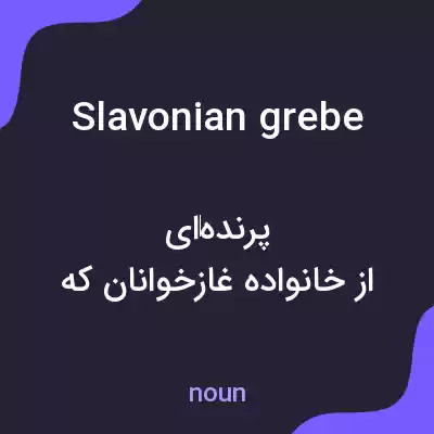 معنی slavonian grebe به فارسی معنی slavonian grebe به فارسی