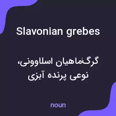 معنی slavonian grebes به فارسی معنی slavonian grebes به فارسی