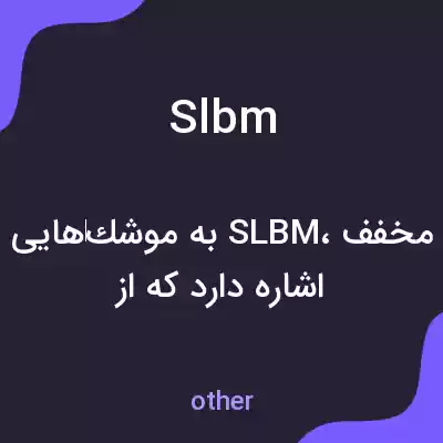 معنی slbm به فارسی معنی slbm به فارسی