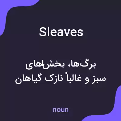 معنی sleaves به فارسی معنی sleaves به فارسی