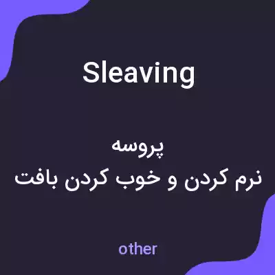 معنی sleaving به فارسی معنی sleaving به فارسی