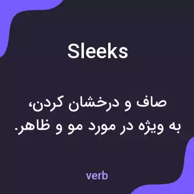 معنی sleeks به فارسی
